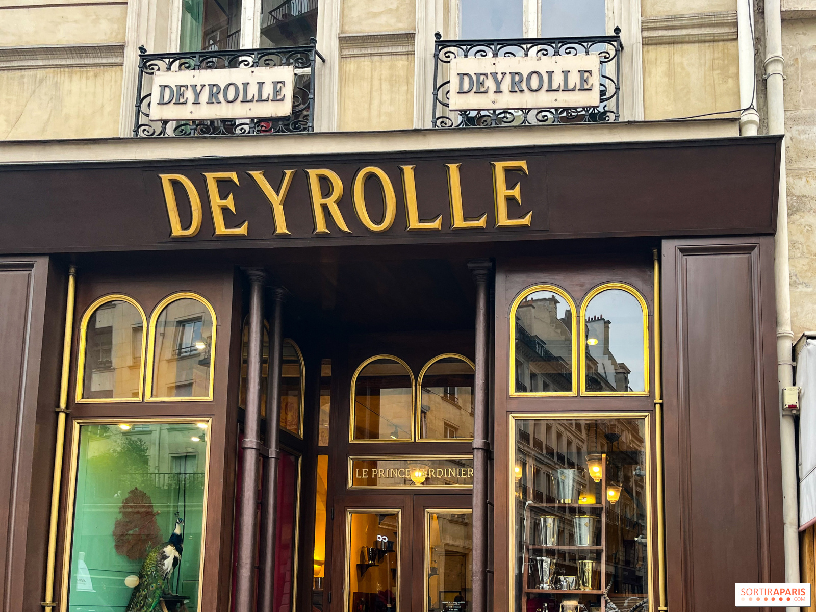Deyrolle, la fascinante tienda de taxidermia y curiosidades de París